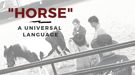 “Horse” is a Universal Language