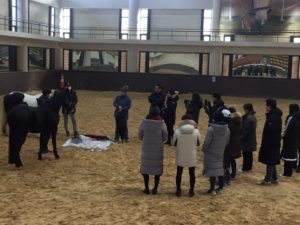 Instructor Training for Equine Programs for Fire/Police/Military- South Korea