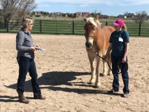 "Naughty Horse" Presentation @ 2019 Regional Conference- Colorado