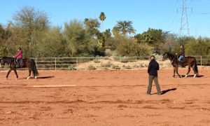 Tempe Mounted Police School 2019- Arizona