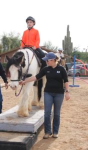 Trail & Sensory Clinic for Adaptive Students- Photo Credit Horses Help