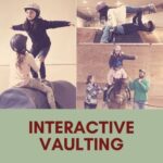 Interactive Vaulting Cover
