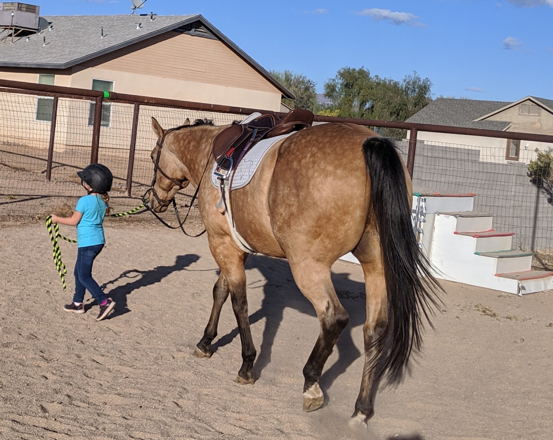 Little girl leading a horse