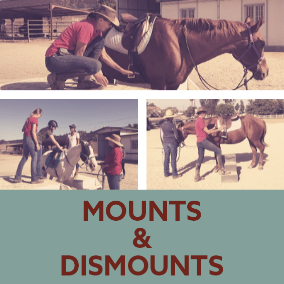 Mounts & Dismounts