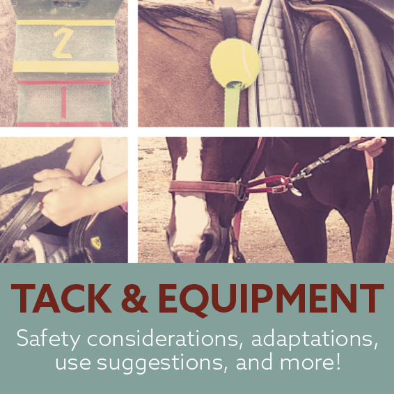 Tack & Equipment